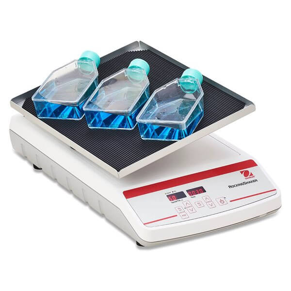 Rocking & Waving Shakers